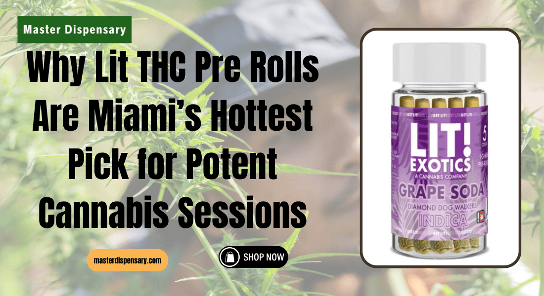 Why Lit THC Pre Rolls Are Miami’s Hottest Pick for Potent Cannabis Sessions
